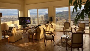 テレビ、暖炉、DVD プレーヤー、書庫