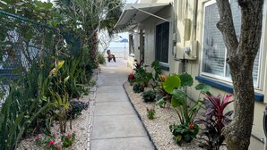 A pathway leading to a house with a view of the ocean, surrounded by various plants and a chair.