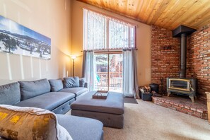 Télévision, cheminée, lecteur de DVD