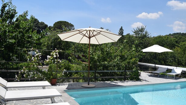 Una piscina con sillas de descanso y sombrillas, rodeada de abundante vegetación.