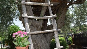 Una estructura de escalera de madera fijada a un tronco de árbol, rodeada de macetas y un barril.