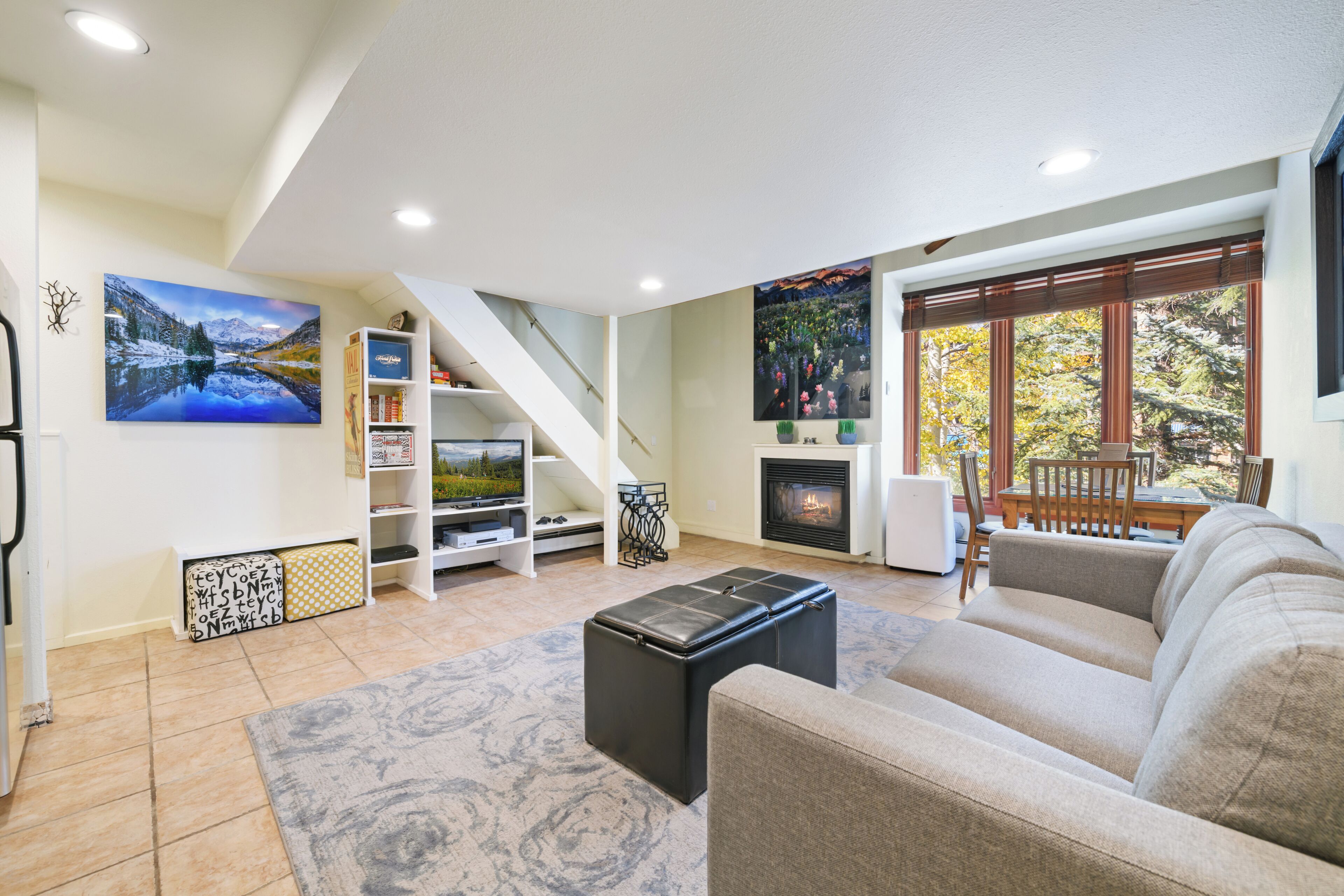 TV, fireplace, books