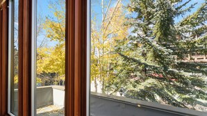 A view through a window with a wooden frame, looking out to a courtyard with trees and a building in the background.