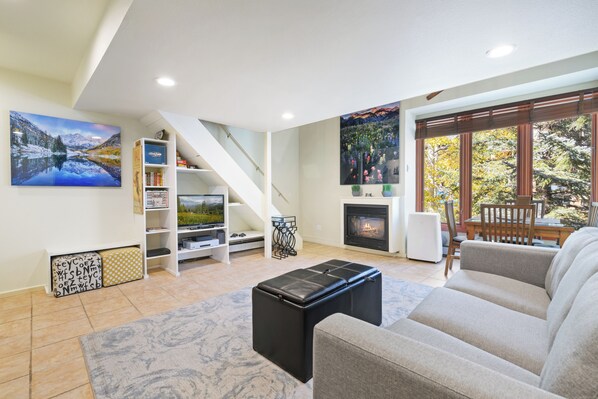 TV, fireplace, books