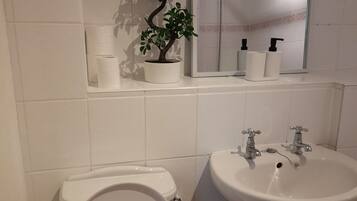 Combined shower/tub, hair dryer, towels, soap