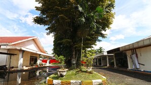 A courtyard with a large tree, potted plants, and a yellow and white curb. - Hotel Sampaga by Zuzu (Banjarmasin)