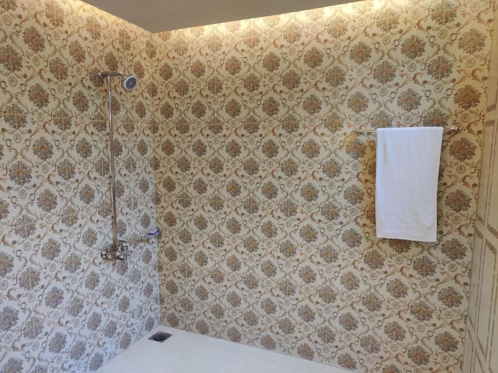 deluxe double room | bathroom | free toiletries, towels