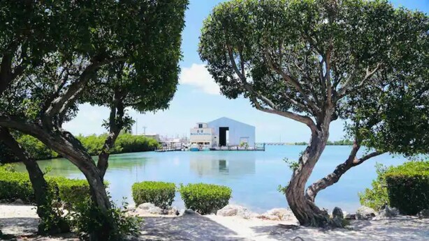 Un bâtiment à l’extérieur blanc et à la porte noire, entouré d’arbres et bordé par un plan d’eau.