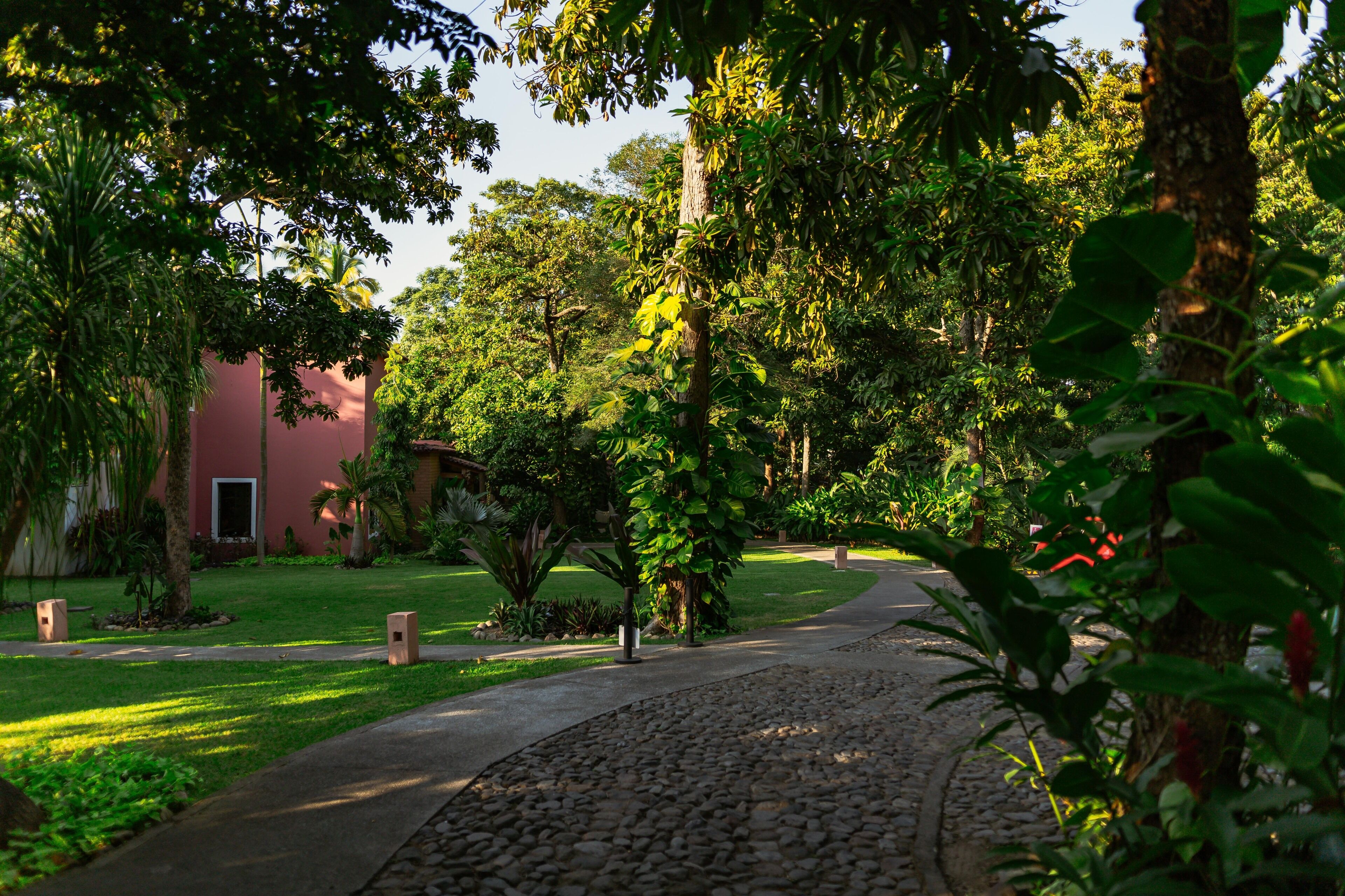 Um caminho serpenteia por um jardim exuberante, com um edifício ao fundo.