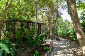 Hot stone massages, deep-tissue massages, prenatal massages - La Paranera Hotel & Relax (Comala)