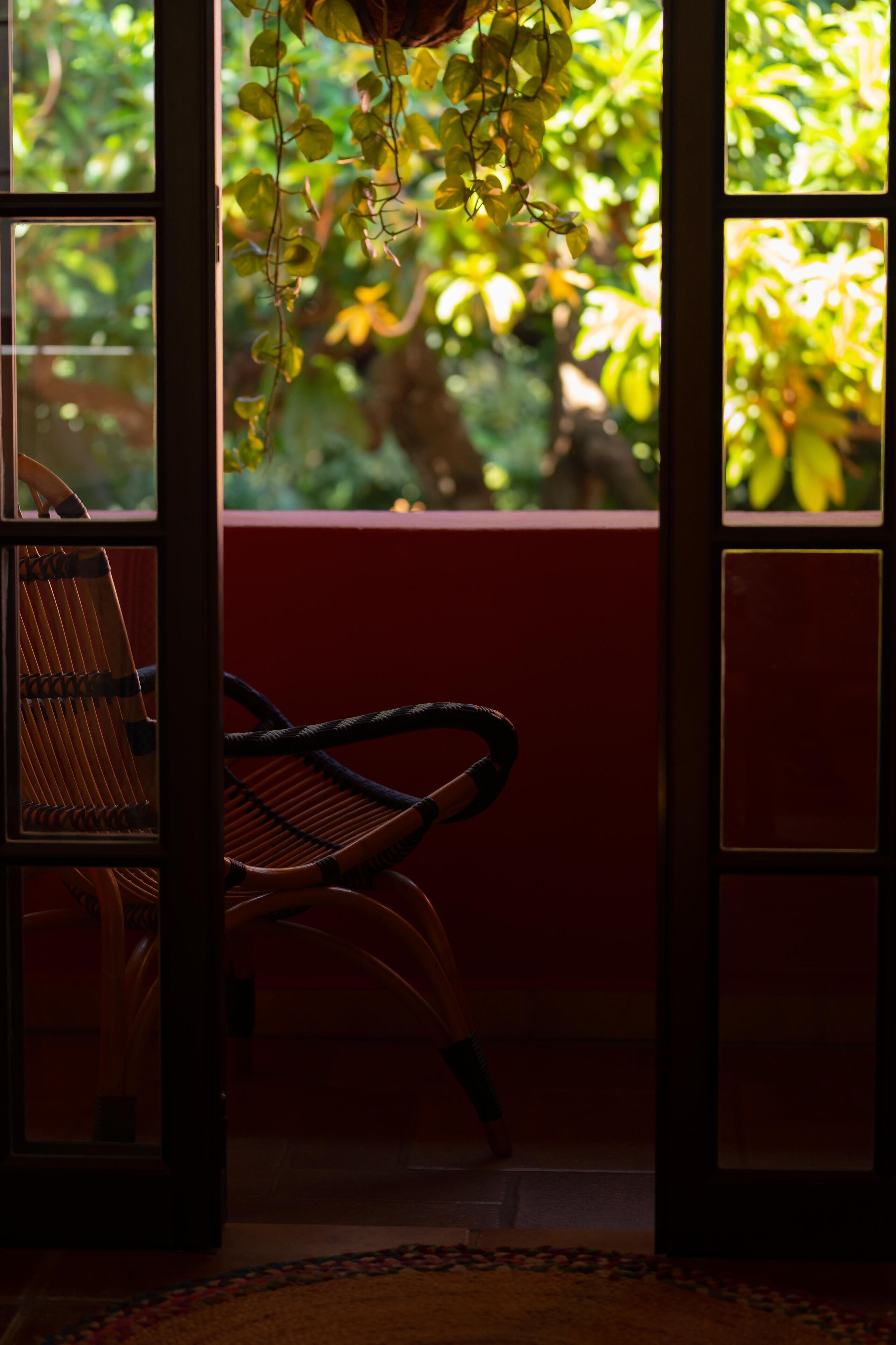 Una habitación con una silla de mimbre cerca de una ventana, pared roja y una planta colgante.