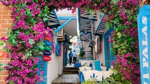 A narrow street leading to a hotel named 'MAVIPALAS'.
