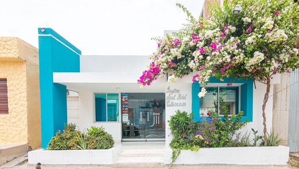 A hotel entrance with a blue and white facade, a glass door, and a small garden area with various plants and flowers. - Hotel Guajira Azul (Riohacha)