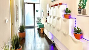 Un pasillo con macetas, un estante en la pared con más plantas, y una puerta al final.