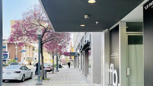 Una acera con pavimento decorativo, un árbol con flores rosadas y un edificio con un letrero 'fb'.