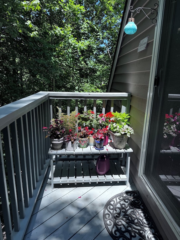 Property grounds - Two bedroom upstairs unit. "Timberlane Mountain Retreat" with mini kitchen (Boone)