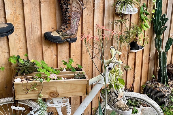 Área da propriedade