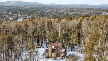 A cabin in a forested area with a view of distant mountains.