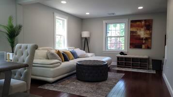 Smart TV, fireplace, DVD player, books