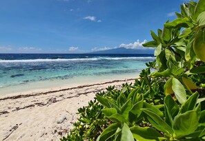 Une plage avec une eau turquoise et limpide, un rivage sablonneux et une végétation verdoyante au premier plan.