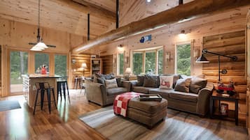 Smart TV, fireplace, DVD player, video library