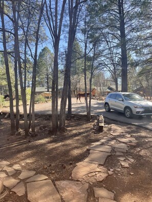 Enceinte de l’hébergement