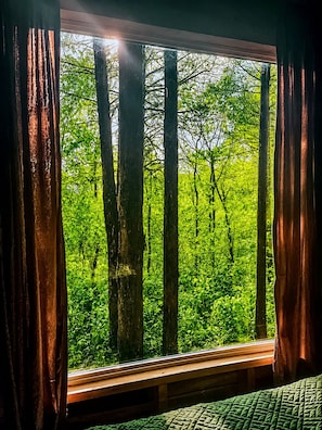 Una finestra con tende, una panca in legno e vista su una foresta.