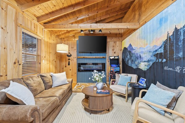 Smart TV, fireplace, books