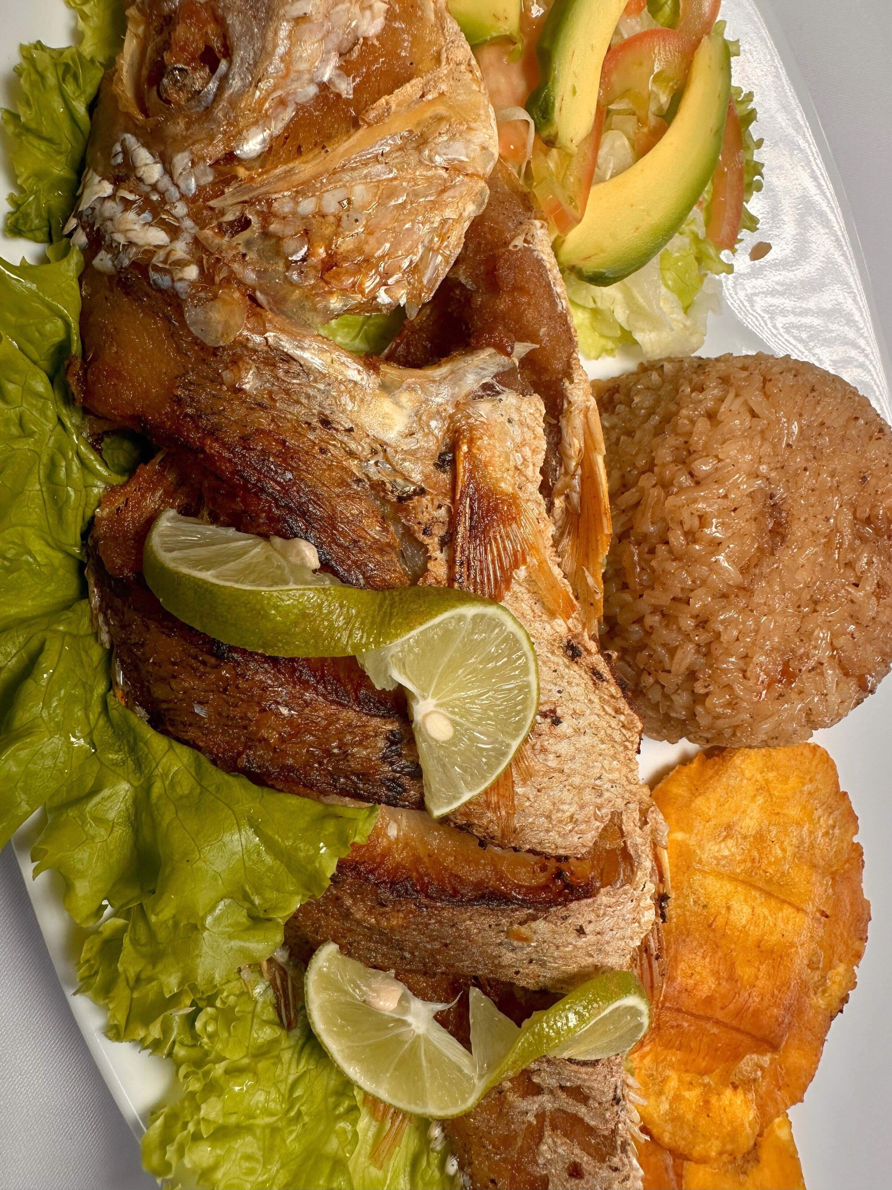 Foto - Hotel Los Veleros Santa Marta