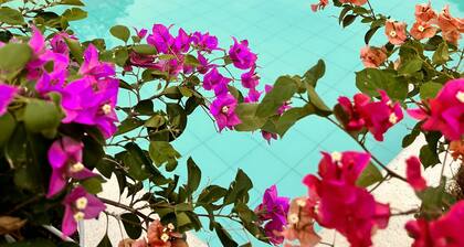 Los Veleros STHotels