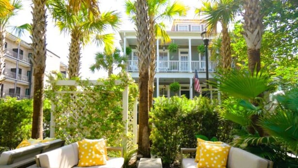 A sunlit outdoor seating area with white cushioned sofas and yellow pillows, surrounded by tall palm trees and lush greenery. - 8B at Saint Philip Square, One Block to King, Spacious Group and Family Favorite (Charleston)