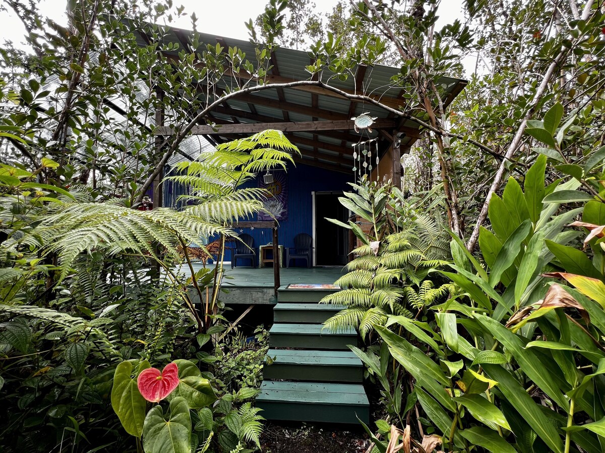 Imagen de perfil del propietario o de la propietaria