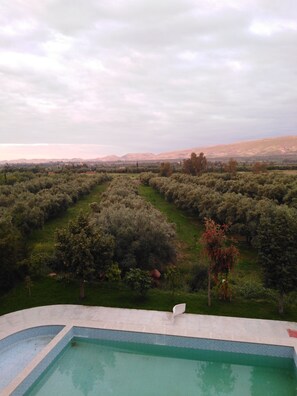Pool - My villa paradise is located in a big olive grove at the foot of the High  Atlas (AGHMAT)