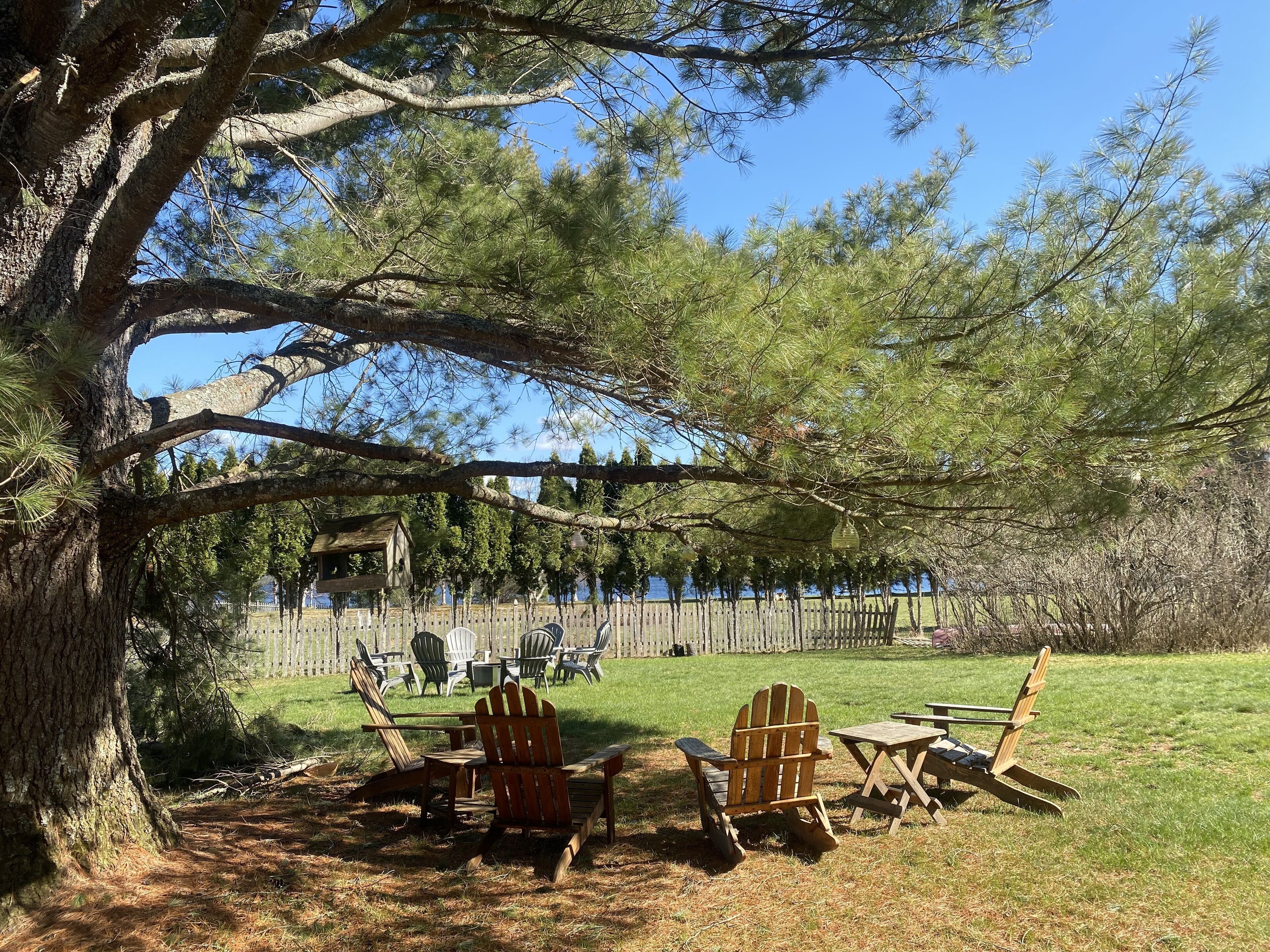 Fern Cottage: A Charming Cozy Saranac Inn Camp