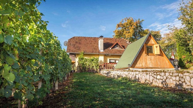 A house with a stone wall, a wooden cabin, and a vineyard.
