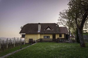 Eksteriør