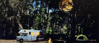 FUN CAMPSITE FOR ALL!!!