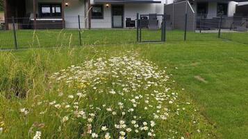 Apartment (Eifel Dream Krausbuche) | Exterior
