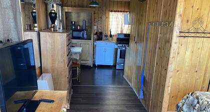 THE FRAN - WALK EVERYWHERE IN DOWNTOWN CREEDE! 1 bedroom, 1 bath (SLEEPS 2)