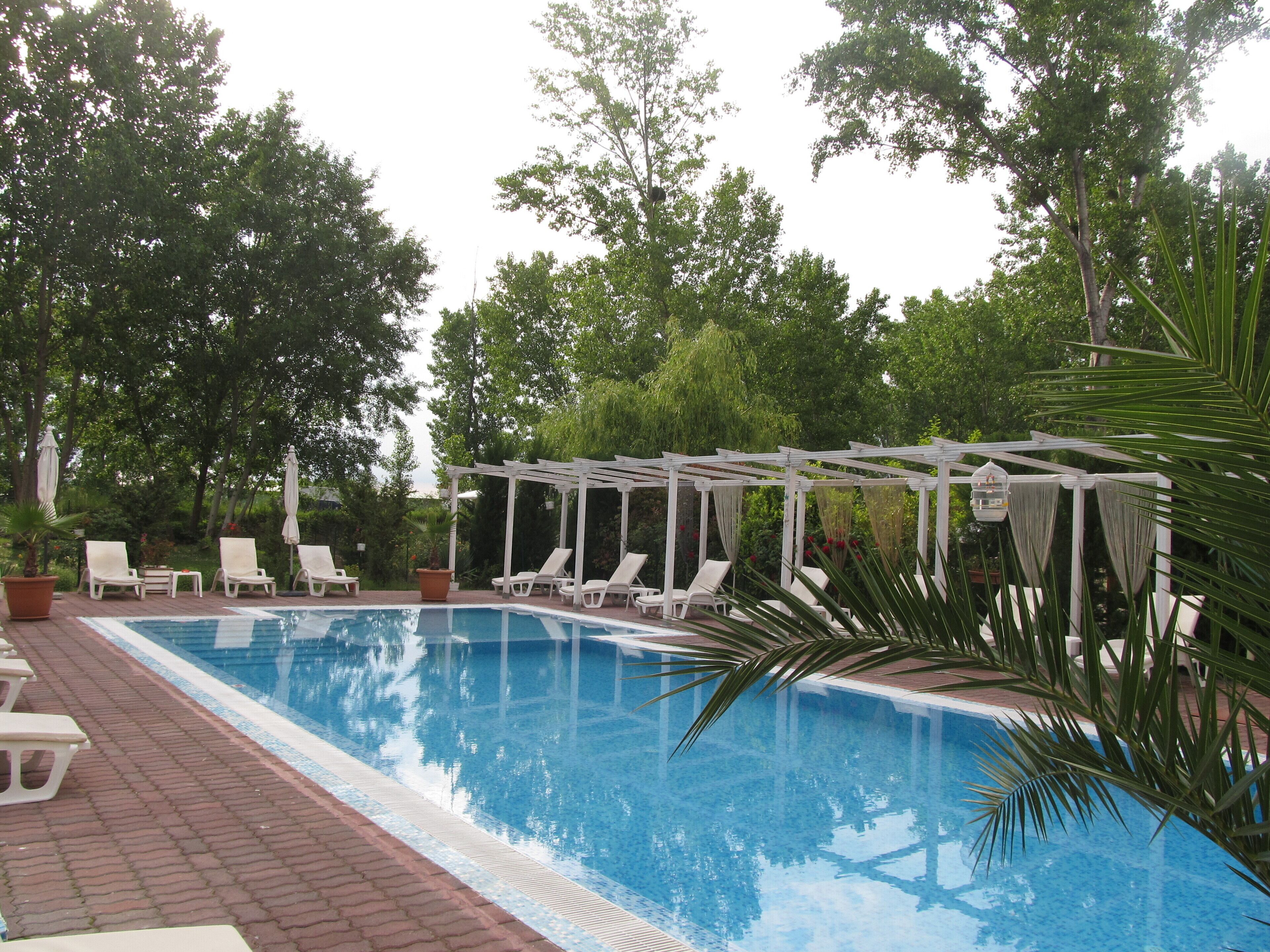 Una piscina con sillas de descanso blancas y una pérgola.