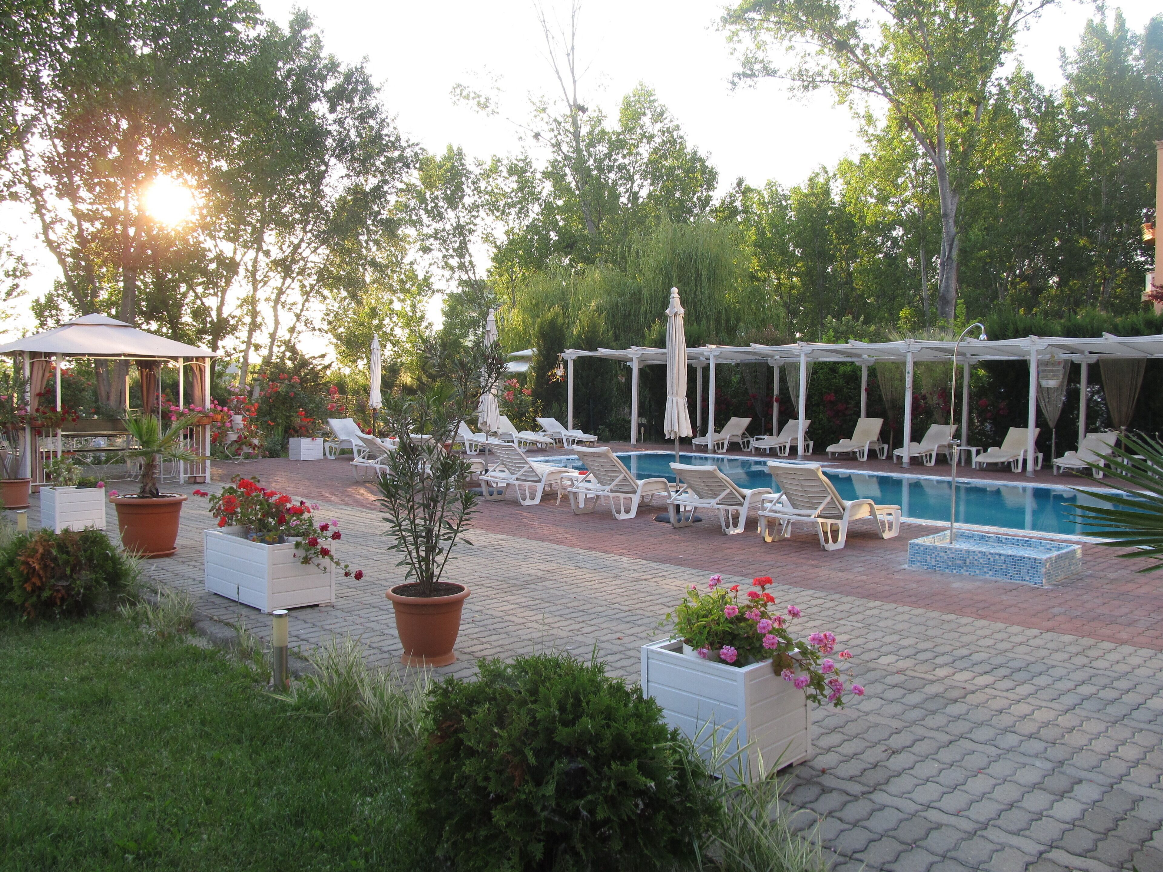 Garden view