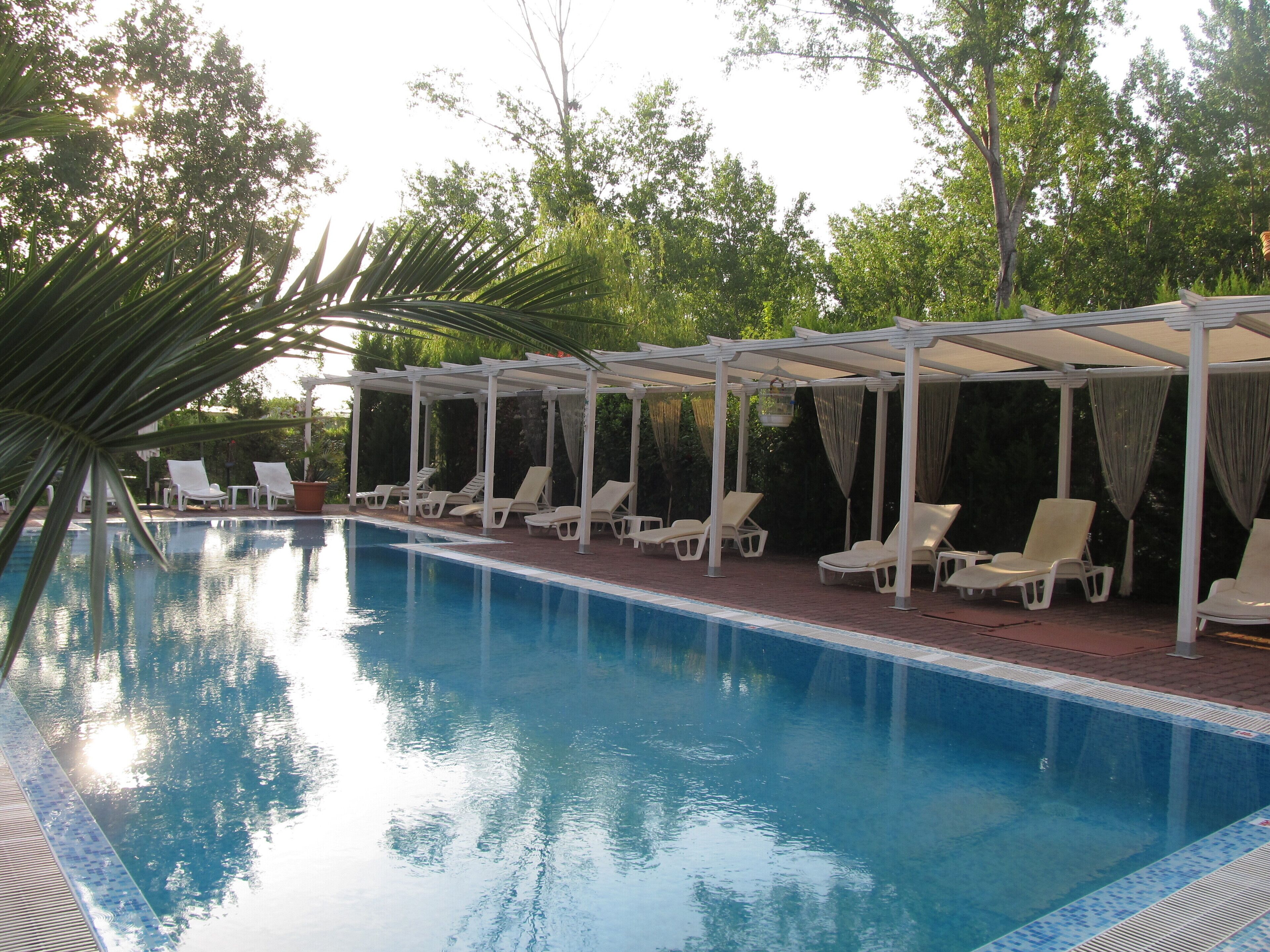 Une piscine avec des chaises longues et un espace abrité.