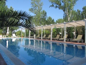 Une piscine avec des chaises longues et un palmier.
