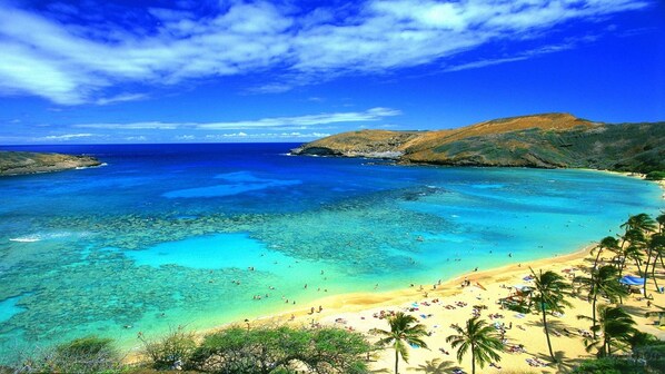 Guests can enjoy access to the beach and stunning ocean views.