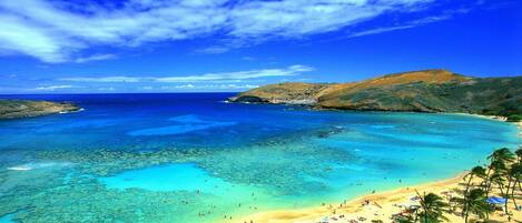 Playa en los alrededores