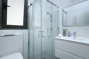 A modern bathroom with a glass shower enclosure, a white sink, and a large mirror.