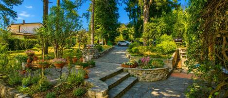 A stone pathway leading to a house surrounded by lush greenery and potted plants.