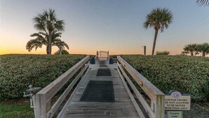 A wooden boardwalk leading to a gate, surrounded by lush greenery and palm trees, with a sign prohibiting lounge chairs from the pool area. - St. Simons Beach Club, Oceanfront Pool, Fabulous Beach Access and More! (Saint Simons Island)