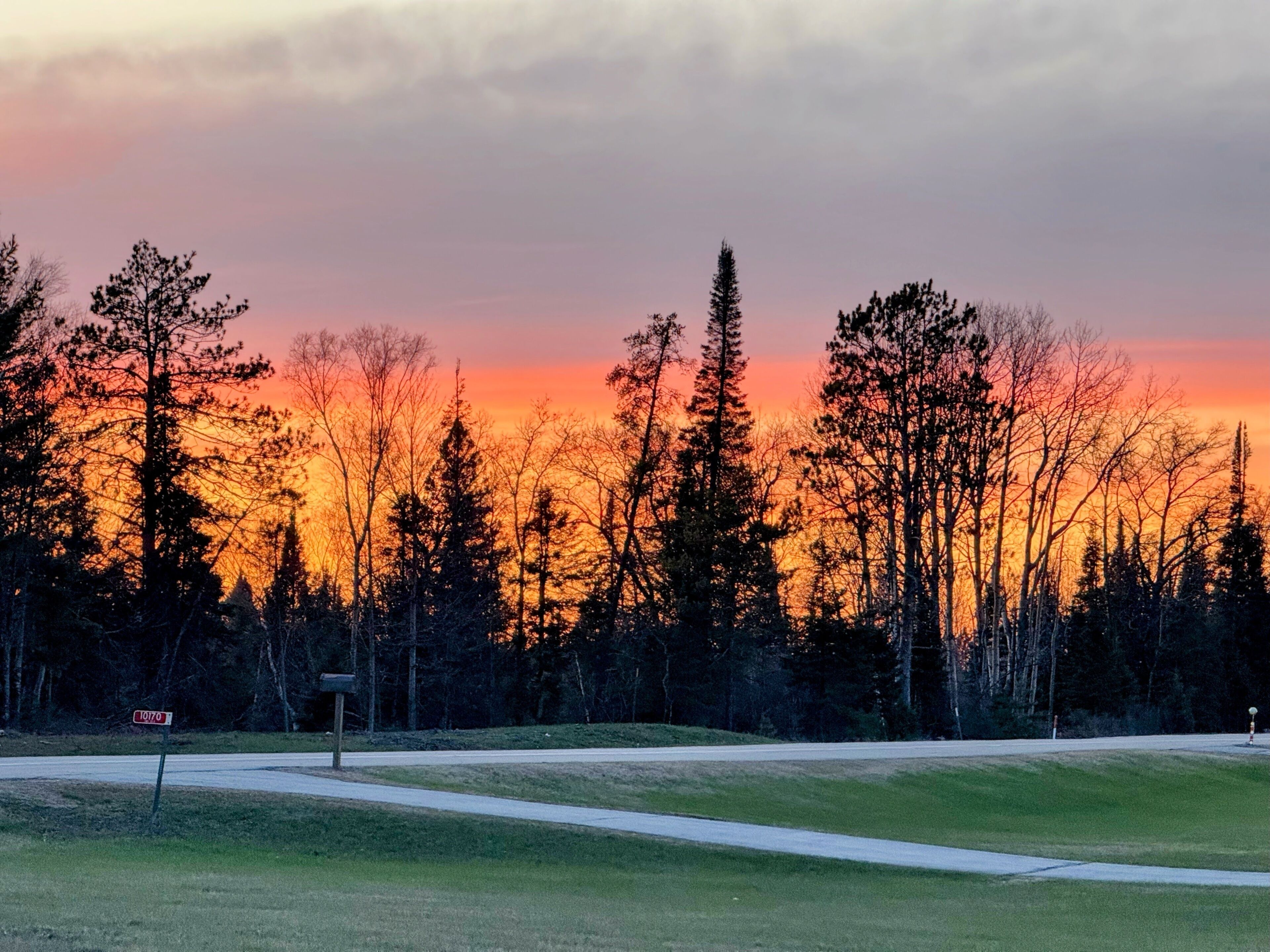 Un campo de golf con una carretera, árboles y un buzón.