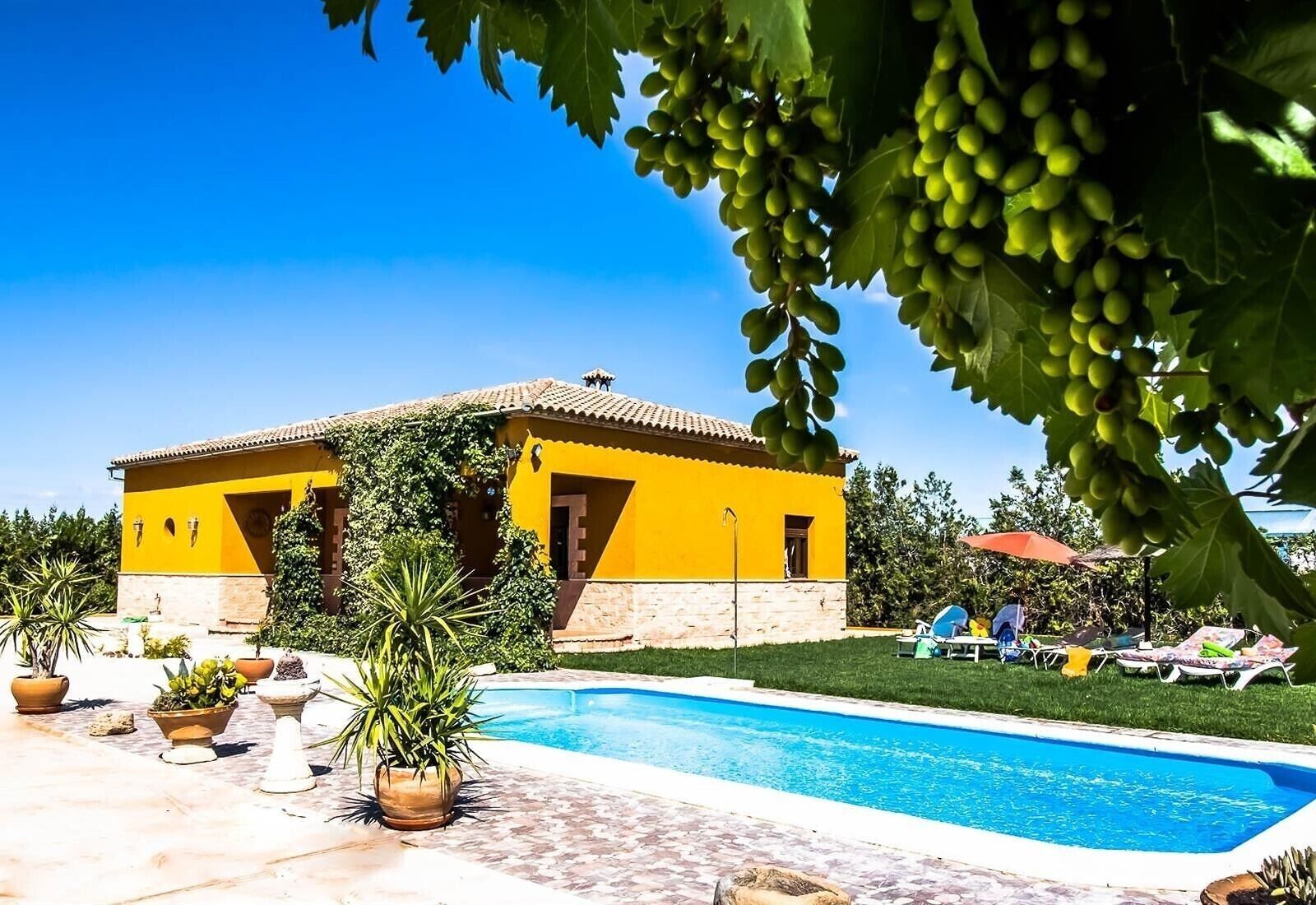 A yellow villa with a swimming pool, surrounded by greenery and potted plants.